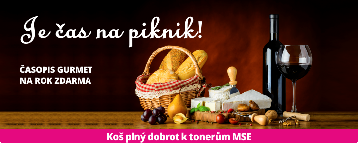 MSE piknik web