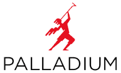palladium logo web